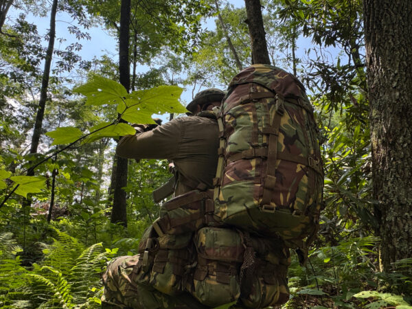 Camoflauge effectiveness British DPM